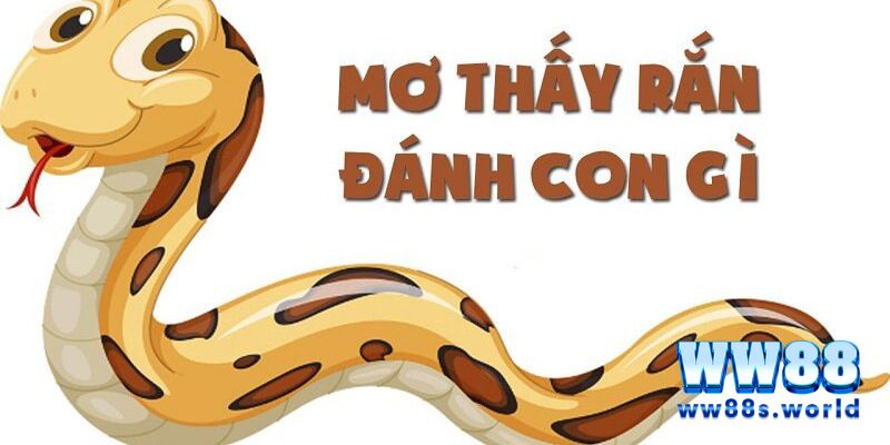 Mơ Thấy Rắn - Giải Mã Giấc Mơ Và Tiết Lộ Con Số Nên Đánh Tại WW88 5 Những con số nên đánh khi nhìn thấy rắn trong mơ