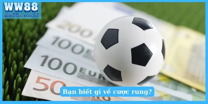 Hiểu Về Kèo Rung Tuyệt Chiêu Bắt Kèo Siêu Chuẩn 2 Bạn biết gì về cược rung?