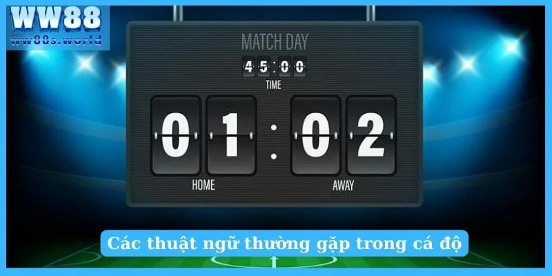 Hiểu Về Kèo Rung Tuyệt Chiêu Bắt Kèo Siêu Chuẩn 5 Các thuật ngữ thường gặp trong cá độ
