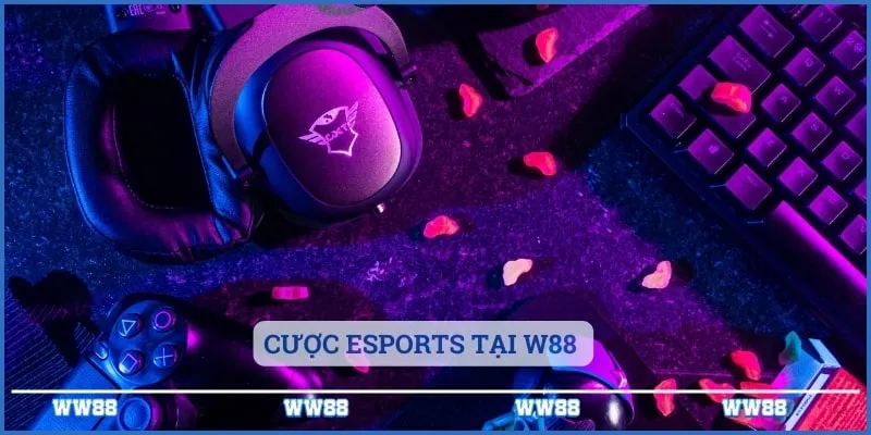 W88 - Link Vào W88.com Trang Cá Cược Uy Tín 4 Sân chơi cung cấp khá nhiều môn thể thao để thành viên lựa chọn